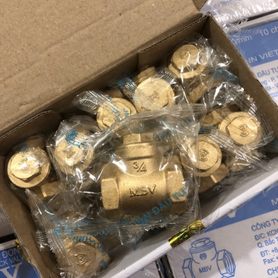 Van 1 chiều lá lật DN20 | ren 27 (3/4’’) | PN10