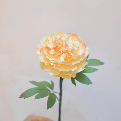Hoa giấy trang trí cao cấp, Hoa Mẫu Đơn handmade cành lớn Maypaperflower - hoa giấy nghệ thuật, hoa cắm bình, decor nhà ở
