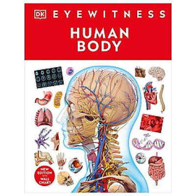 Eyewitness - Human Body