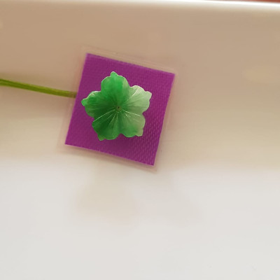 Mặt dây chuyền Mới Đẹp Bông Mai Xanh Lý đậm lam trắng bóng đẹp Đá cẩm thạch thiên nhiên Size 14mm x dầy 3mm Nữ bọc vàng làm mặt dây chuyền, mặt nhẫn đeo đẹp ạ