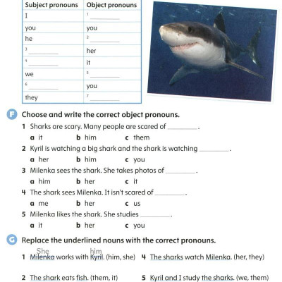 Oxford Discover 2nd Edition: Level 2: Grammar Book