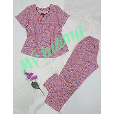 Bộ tole 2 da loại 1 cổ tim 50-80kg