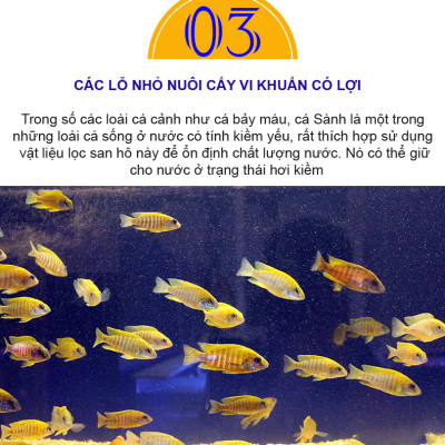 San Hô Vụn túi 1KG  + 1 túi lưới đựng vật liệu lọc cho bể cá