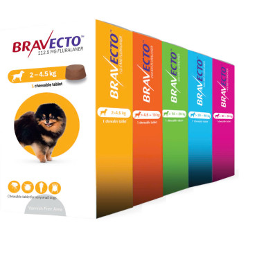 Bravecto Viên nhai vị thịt bò tiêu diệt 100% Ve trong 12 giờ cho chó 2-4.5kg