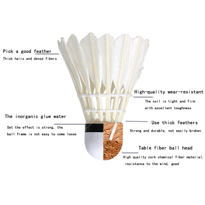 Hộp 3 quả cầu lông AOLIKES S1003C