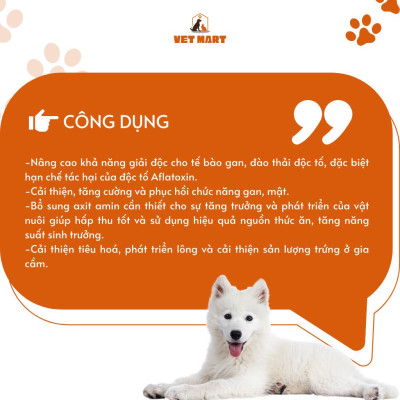 Hỗ Trợ Hô Hấp, Giải Độc nhanh chóng, Làm Ấm Cơ Thể Cho Gia cầm, gia súc - Five Hot Ginger (1 LÍT)