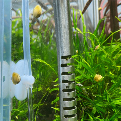 8M Dây Sủi Oxy | Dây Dẫn Khí CO2 Trong Suốt, Cho Hồ Cá Cảnh, Hồ Thủy Sinh Cao Cấp