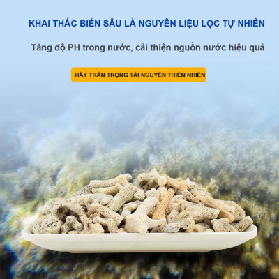 San Hô Vụn túi 1KG + Phân nền thủy sinh SMEKONG II 2KG giàu dinh dưỡng, trang trí bể cá, hồ cá