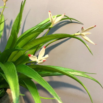 Cụm lá lan giả trang trí- Cụm lá điểm - Cỏ điểm trang trí cao cấp