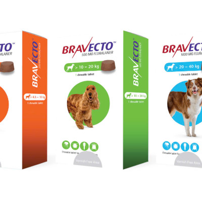 Bravecto Viên nhai vị thịt bò tiêu diệt 100% Ve trong 12 giờ cho chó 2-4.5kg