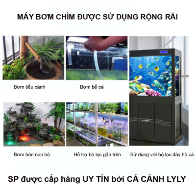 Máy Bơm Hồ Cá BAOYU BY103 30W | 2000L/H Mạnh Mẽ, Tiết Kiệm Điện, BH Uy Tín!