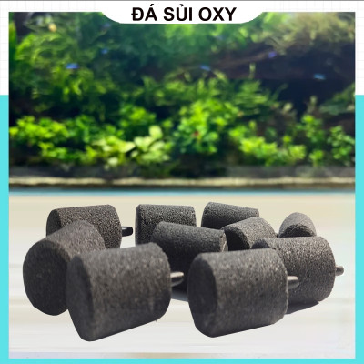 Bộ 10 Sủi oxy to, đá sủi oxy, quả sủi oxy Loại tốt, Cỡ trung đường kính 2.5cm, cao 5.3cm, nặng 60gr dùng cho Máy sủi oxy, Máy sục khí - Tăng lượng khí oxy bể cá - Giúp cá lớn nhanh, phát triển mạnh
