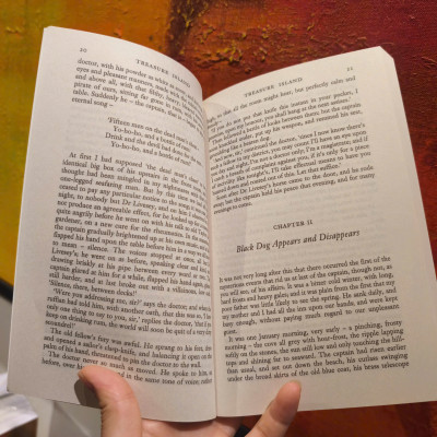 Sách - Treasure Island by Robert Louis Stevenson (Wordsworth Exclusive Collection)