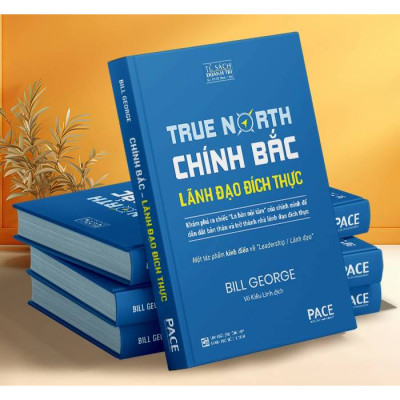 Chính Bắc (Discover Your True North) - Khám Phá Ra “Chiếc La Bàn Nội Tâm” Của Chính Mình Để Dẫn Dắt Bản Thân Nhằm Trở Thành Nhà Lãnh Đạo Đích Thực