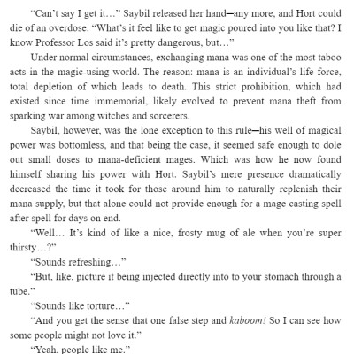 The Dawn Of The Witch 2 (Light Novel): The Mama Merchant And A Premonition Of Love