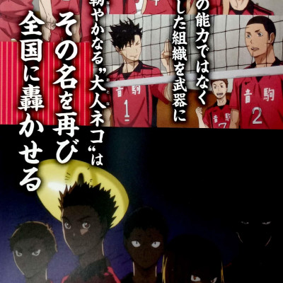 ハイキュー!! TVアニメチームブック vol.2 音駒高校バレーボール部 - HAI KYUU ! !