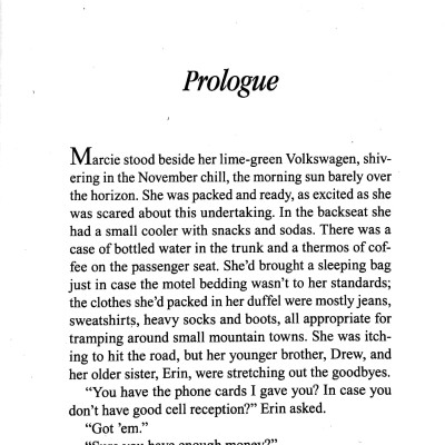 A Virgin River Christmas (A Virgin River Novel 4)