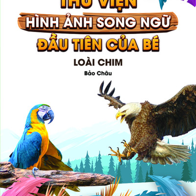 Combo 4 Cuốn: Thế Giới Khủng Long - Thế Giới Loài Chim - Chữ Cái Và Số Đếm - Hoa Rau Củ Quả 