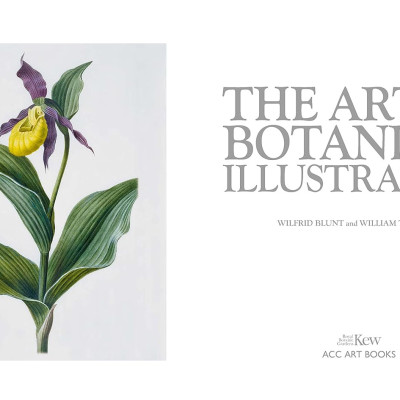 Artbook - Sách Tiếng Anh - The Art of Botanical Illustration