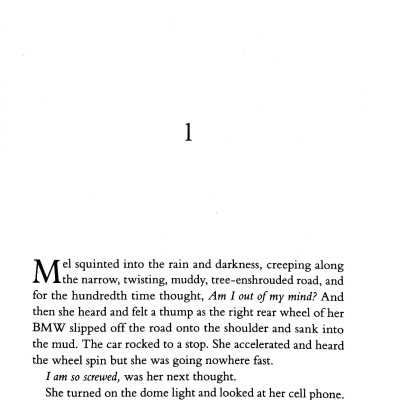 Virgin River Movie Tie-In (The Virgin River Novel 1)