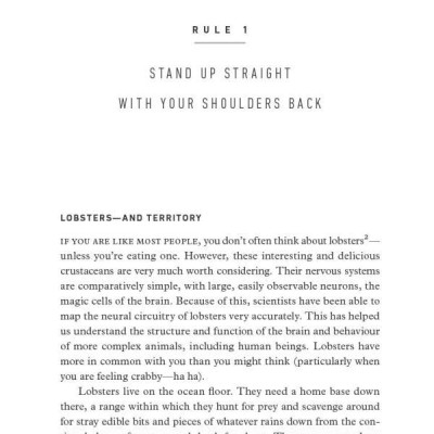 12 Rules for Life: An Antidote to Chaos