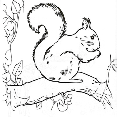 Bé Tập Tô Màu - Thảo Cầm Viên Của Em - Tập 3