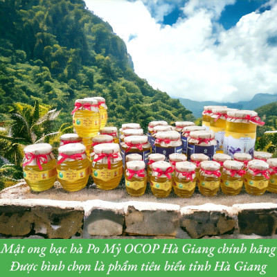 MẬT ONG BẠC HÀ PO MỶ OCOP HÀ GIANG CHÍNH HÃNG 500ML, MẬT ONG BẠC HÀ NGUYÊN CHẤT ĐẶC SẢN HÀ GIANG