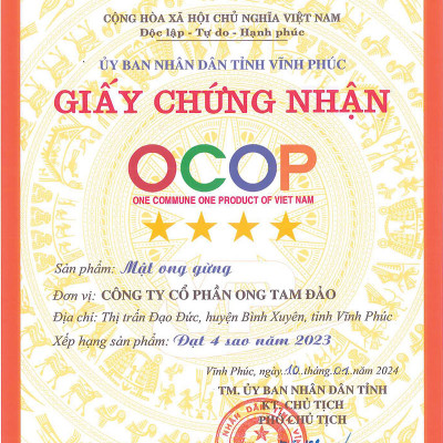 Mật ong Gừng HONECO 15 gói x 15g