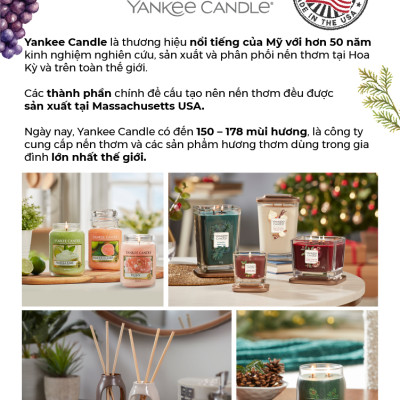 Nến ly tròn sáp đậu nành Yankee Candle size M (369g) - Balsam & Cedar