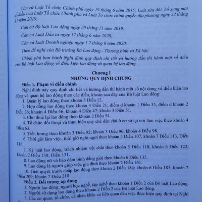 Sách Bộ Luật Lao Động – Quy Định Về Quản Lý Lao Động, Tiền Lương Và Tiền Thưởng Đối Với Công Chức, Viên Chức, Người Lao Động (V2532D)
