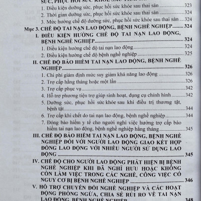 Bộ Luật Lao Động và Hệ Thống Thang Bảng Lương, Phụ Cấp, Chế Độ Tiền Thưởng Đối Với Người Hưởng Lương Làm Việc Trong Các Cơ Quan, Đơn Vị Và Doanh Nghiệp