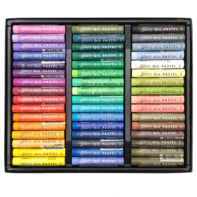 Hộp 48 Bút Sáp Dầu Gallery Artists - Mungyo MOPV-48