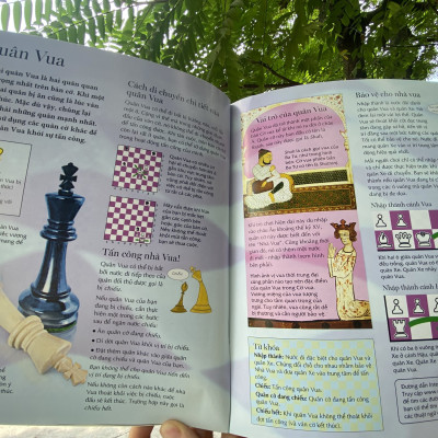 Cờ Vua Những Bước Đi Đầu Tiên Của Kiện Tướng