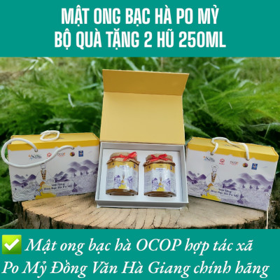 MẬT ONG BẠC HÀ PO MỶ OCOP HÀ GIANG CHÍNH HÃNG 500ML, MẬT ONG BẠC HÀ NGUYÊN CHẤT ĐẶC SẢN HÀ GIANG