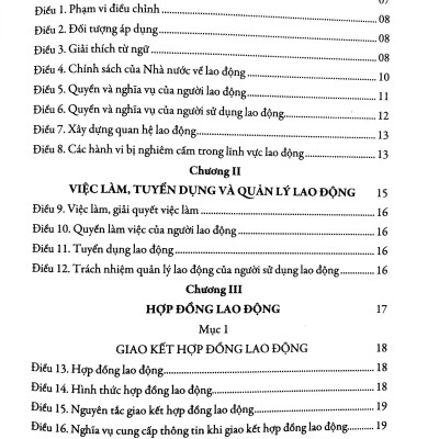 Bộ Luật Lao Động - Được Thông Qua Tại Kỳ Hợp Thứ 8 Quốc Hội Khóa XIV (Bộ Luật Số 45/2019/QH 14 Kỳ Họp Thứ 8 Thông Qua Ngày 20/11/2019)