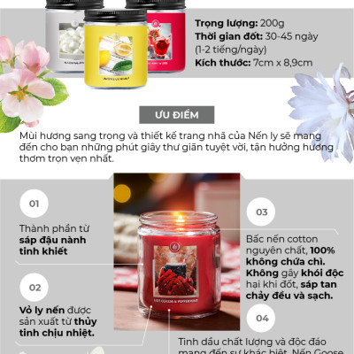 Nến ly Goose Creek (200g) - Toasty Hot Toddy