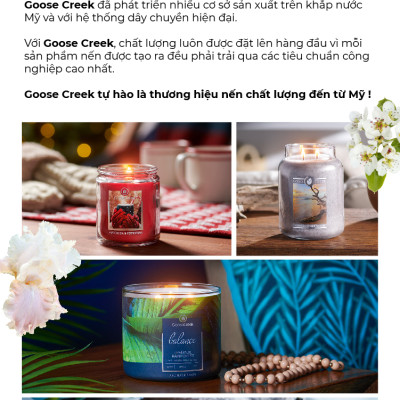 Nến ly 3 bấc sáp đậu nành For Men Goose Creek (411g) - Applewood