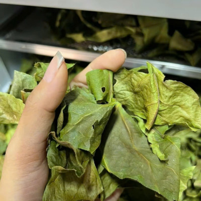 Bột lá bàng xông rửa vùngkín ,thông vòi trứng ( có che tên sản phẩm )