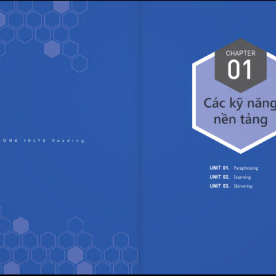 Pagoda IELTS Reading