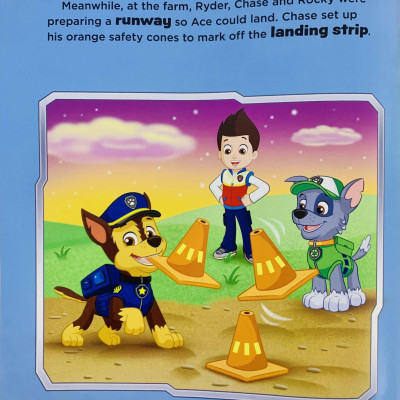Paw Patrol High Flying Skye - Storybook With Bag Tag