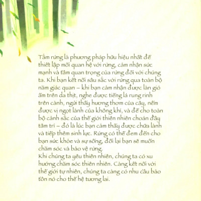 Shinrin Yoku - Nghệ Thuật Tắm Rừng Của Người Nhật