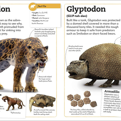 My Book Of Dinosaurs And Prehistoric Life: Animals And Plants To Amaze, Surprise, And Astonish!