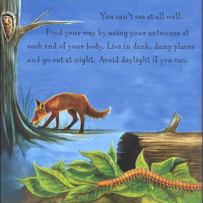 Are You A Centipede? (Backyard Books)