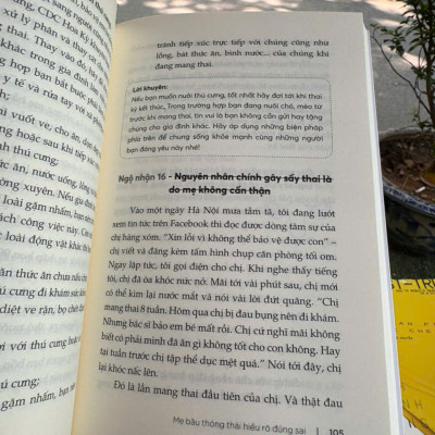 MẸ BẦU THÔNG THÁI HIỂU RÕ ĐÚNG SAI – Ngọc Chi, Hạnh Trang – Nhã Nam - NXB Phụ Nữ Việt Nam