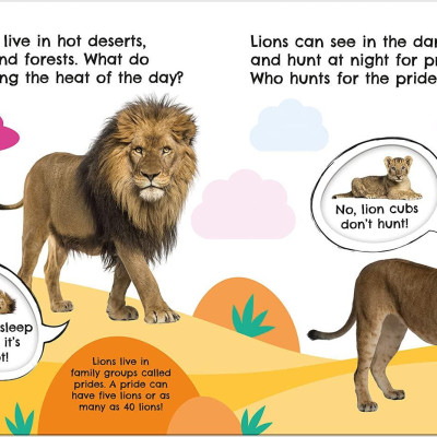 First Facts Big Cats (Turn-the-Wheel Books)
