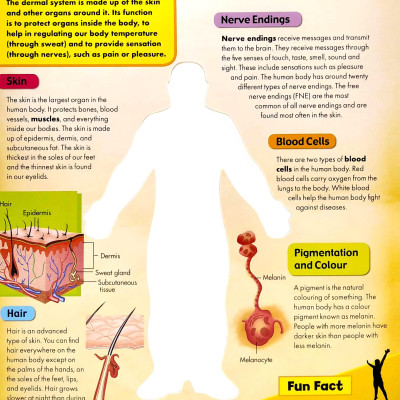 Discover 3D Human Body - Black Cover