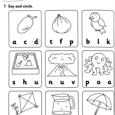 First Friends 2: Activity Book