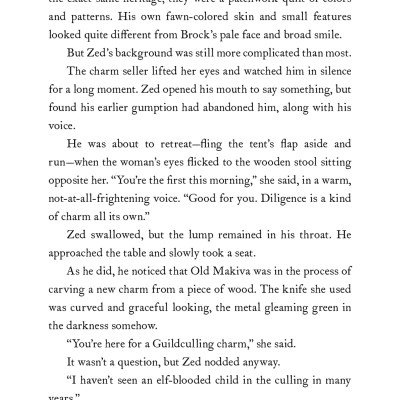 The Adventurers Guild 1