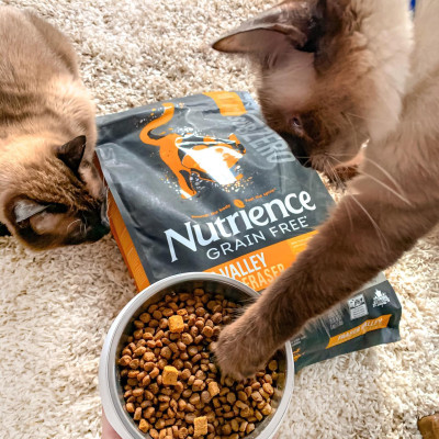 Thức Ăn Hạt Cho Mèo Nutrience Subzero Bao 500g & 2.27kg Vị Gà Tây Và 6 Loại Cá Biển Trái Cây Rau Củ Quả