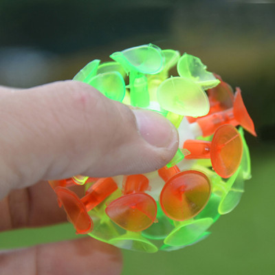 Bóng Ném Dính Sticky Ball, Bóng Ném Dính Bảng Độ Hít Tốt - Dụng Cụ Dạy Học Tiếng Anh Cho Giáo Viên (6x6 Cm)